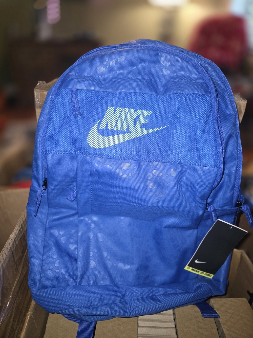 Nike Blue Everyday Backpack for Men